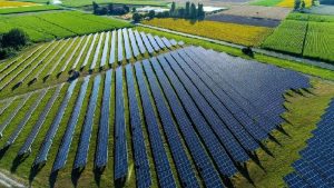Firma española construirá para EGE Haina un parque solar en Sajoma