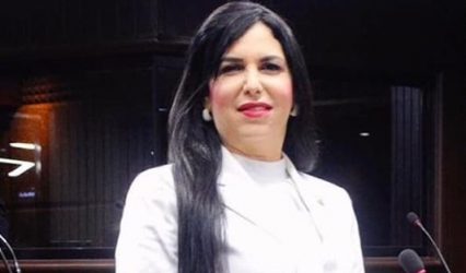 TSE declara inadmisible recurso de diputada contra decisión PRM