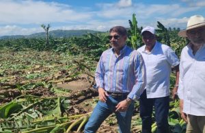 Tornado arrasa granjas y cultivos de plátano en campos de La Vega 