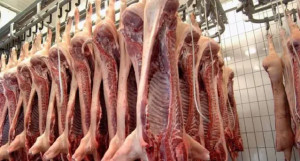 Rep. Dominicana abre su mercado a carnes bocina y porcina de Brasil