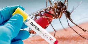 La mitad de la población mundial en riesgo de contraer dengue