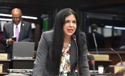 TSE rechaza otro recurso que fue presentado por diputada del PRM TSE rechaza otro recurso que fue presentado por diputada del PRM