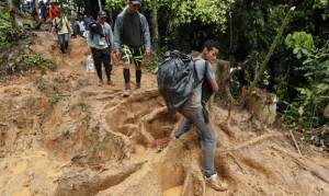 PANAMA: 462 dominicanos han cruzado este año la peligrosa selva del Darién