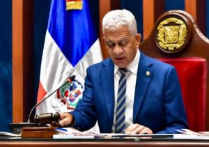 Tilda de irresponsables denuncias ante la OEA de opositores de la RD
