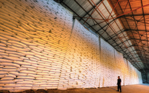 Llegan 20 mil toneladas de azúcar por el puerto del central Romana