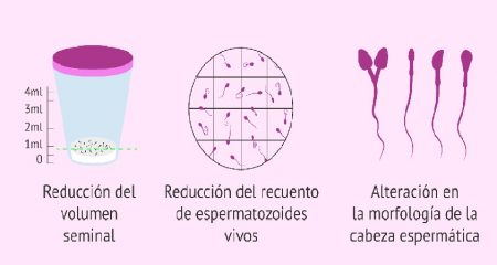 El colesterol alto también impacta la fertilidad masculina y femenina