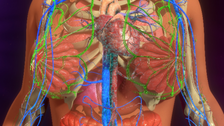 75% pacientes con cáncer mama podrían recibir terapia dirigida
