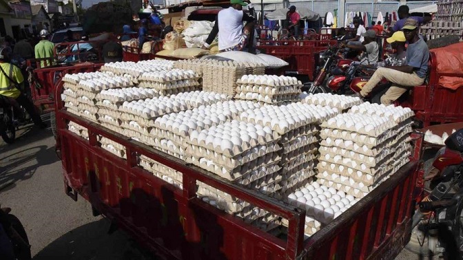 Cuba aumentaría la importación de huevos y pollos desde la RD
