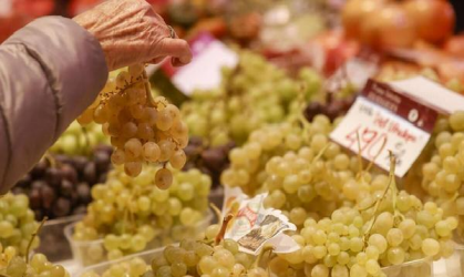 Consumo regular de uvas ayuda salud ocular en adultos mayores