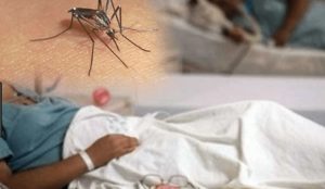 Ascienden a 16 las muertes por dengue en la Rep.  Dominicana