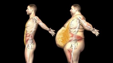5 consejos para quemar la grasa visceral