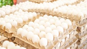 Gobierno dispone venta huevos a 100 pesos en 76 supermercados