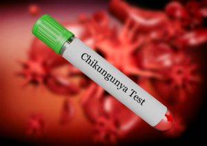 EEUU: La FDA aprueba la primera vacuna contra virus chikungunya