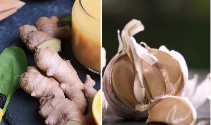 VEA AQUI: Beneficios para tu salud de combinar ajo y jengibre