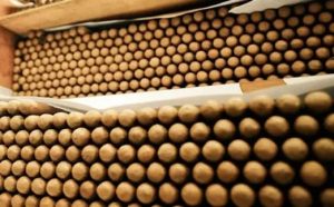 Embajada RD abre el mercado egipcio al tabaco dominicano