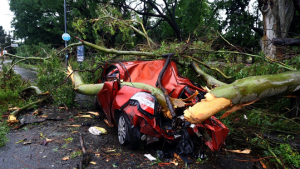ARGENTINA: Catorce muertos tras tormenta con vientos de 150km/h