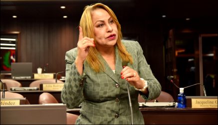 Diputada SDO Ana María Peña lamenta índices de criminalidad