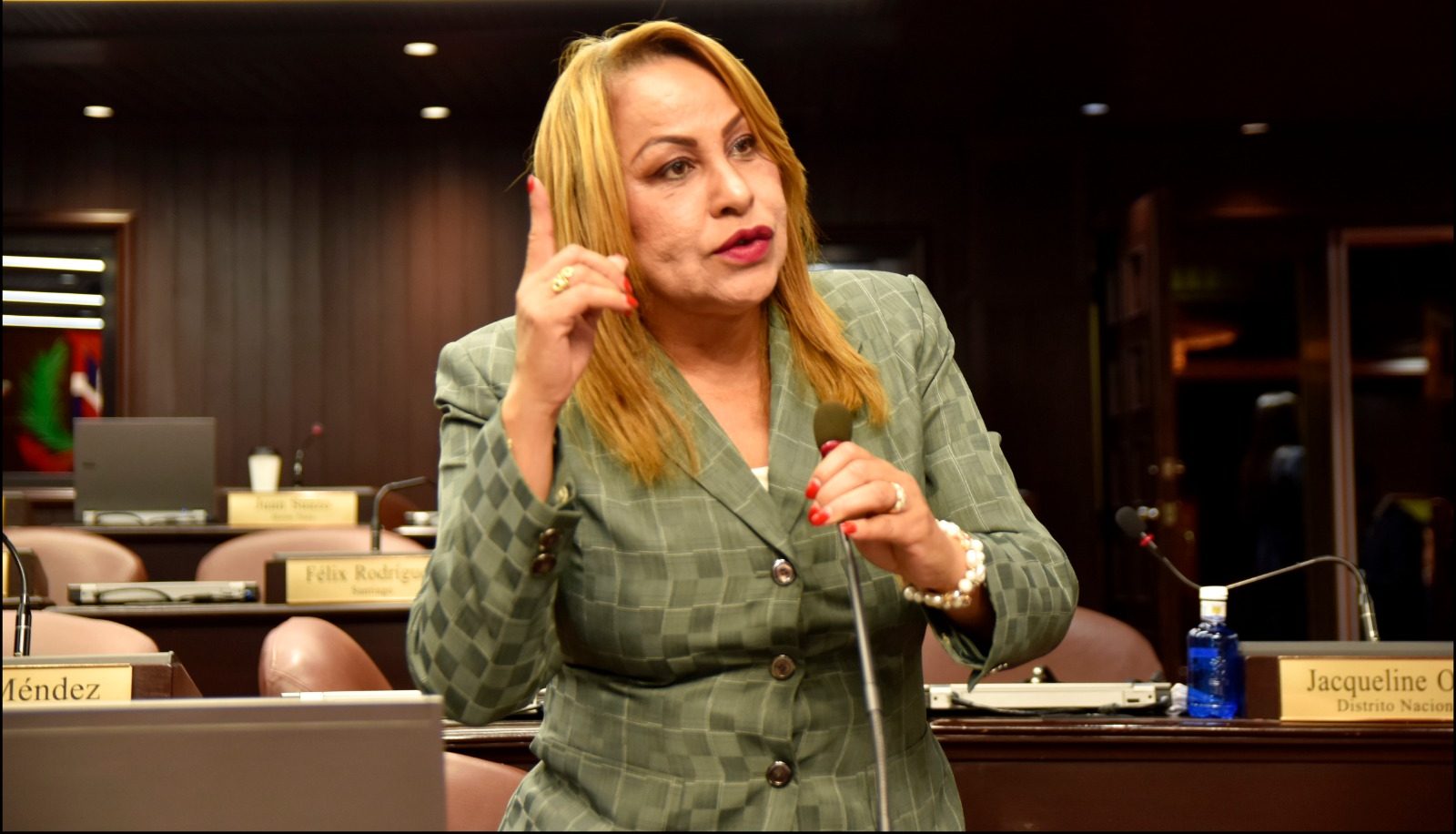 Diputada SDO Ana María Peña lamenta índices de criminalidad imagen