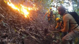 Bomberos forestales controlaron incendios en lomas Bonao y SJM