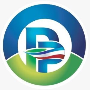 País Posible fue el sexto partido más votado de 34 en elecciones