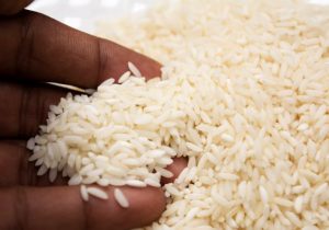 Pro Consumidor: los estudios descartan metales en arroz en RD