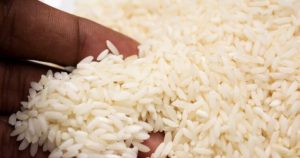 Estudio revela presencia arsénico en arroz de EU se vende en la RD