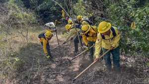 Bomberos combaten unos 55 incendios forestales en la RD