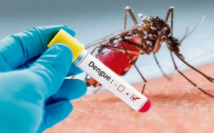 Salud Pública destaca la baja incidencia de dengue en RD