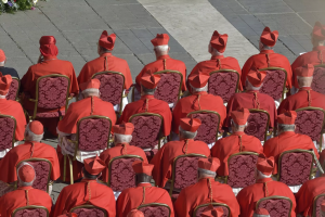 El Vaticano se opone a cirugía de cambio sexo y vientres de alquiler