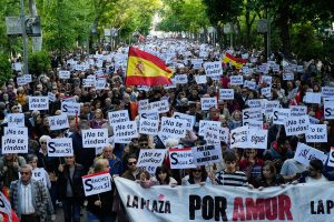 ESPAÑA: Miles se manifiestan en Congreso en defensa democracia