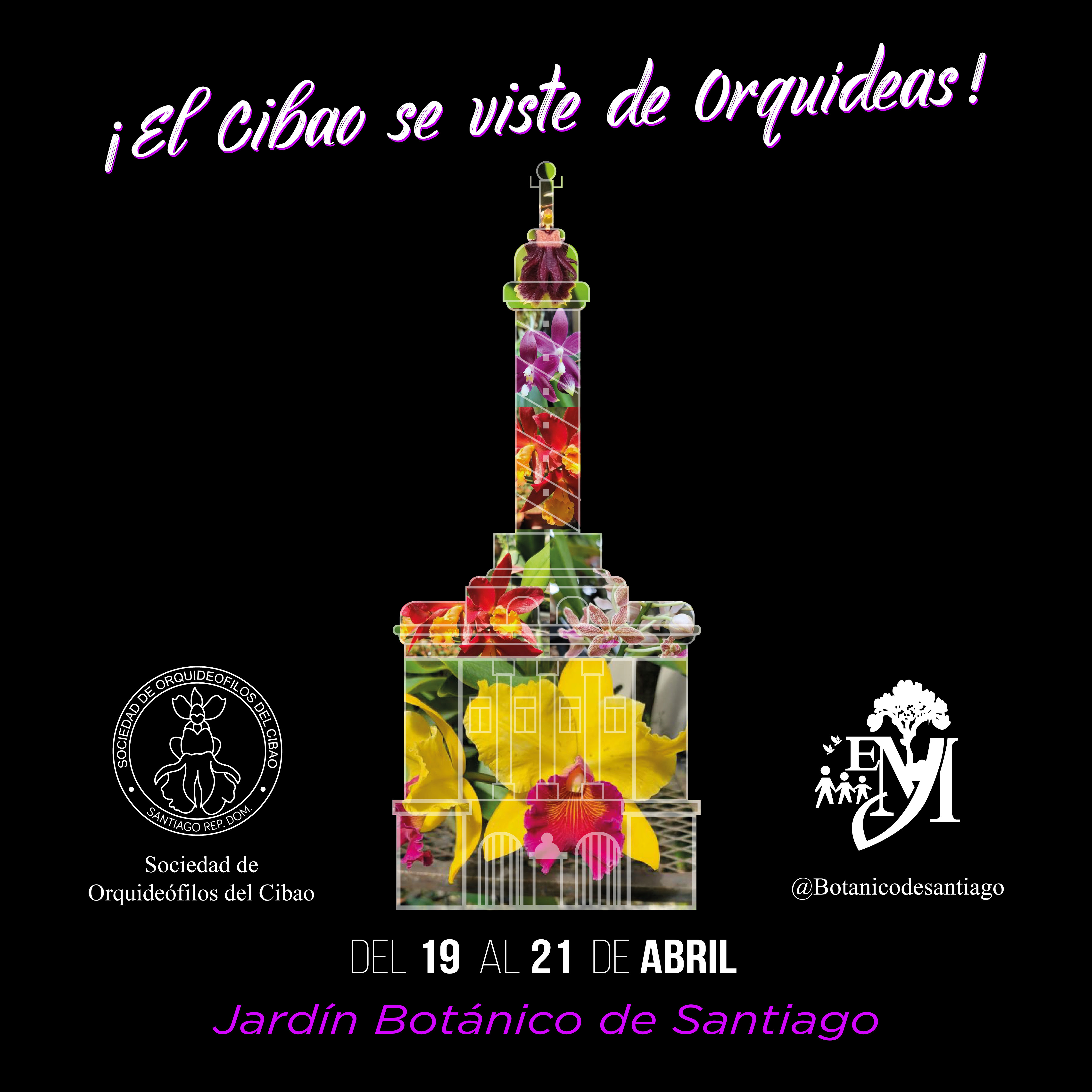SANTIAGO: Celebran Festival de orquídeas en el Jardín Botánico imagen