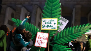 Alemania ya permite cultivar y tener marihuana para consumo