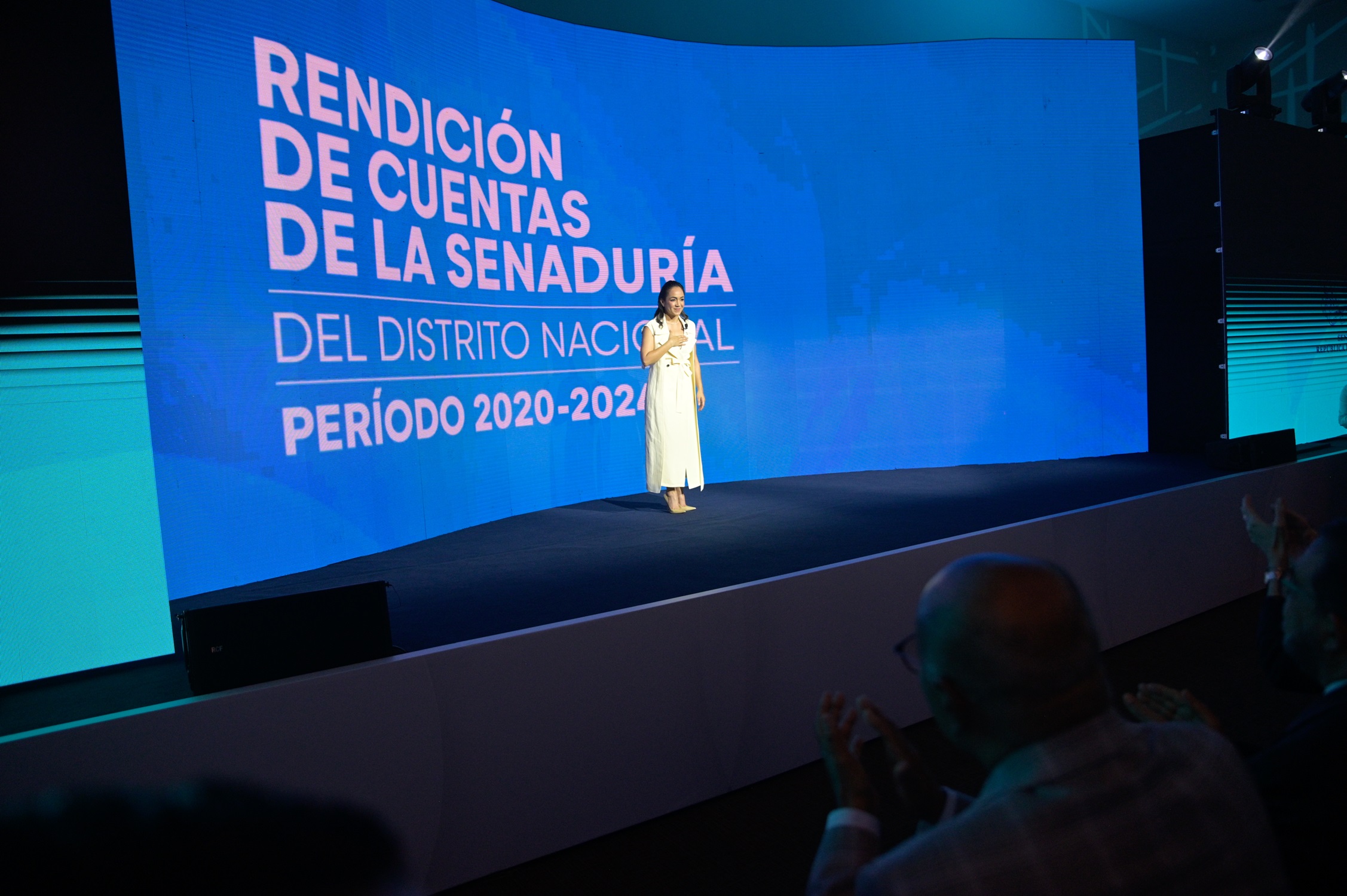 Senadora Faride Raful sometió 37 proyectos en gestión de 4 años imagen