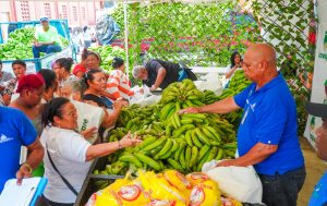 Compran 14 millones plátanos a productores afectados por lluvias