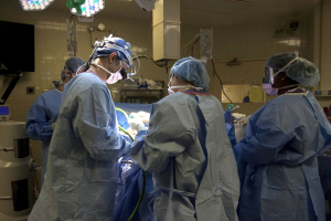 Fallece el paciente que recibió el primer trasplante riñón de cerdo