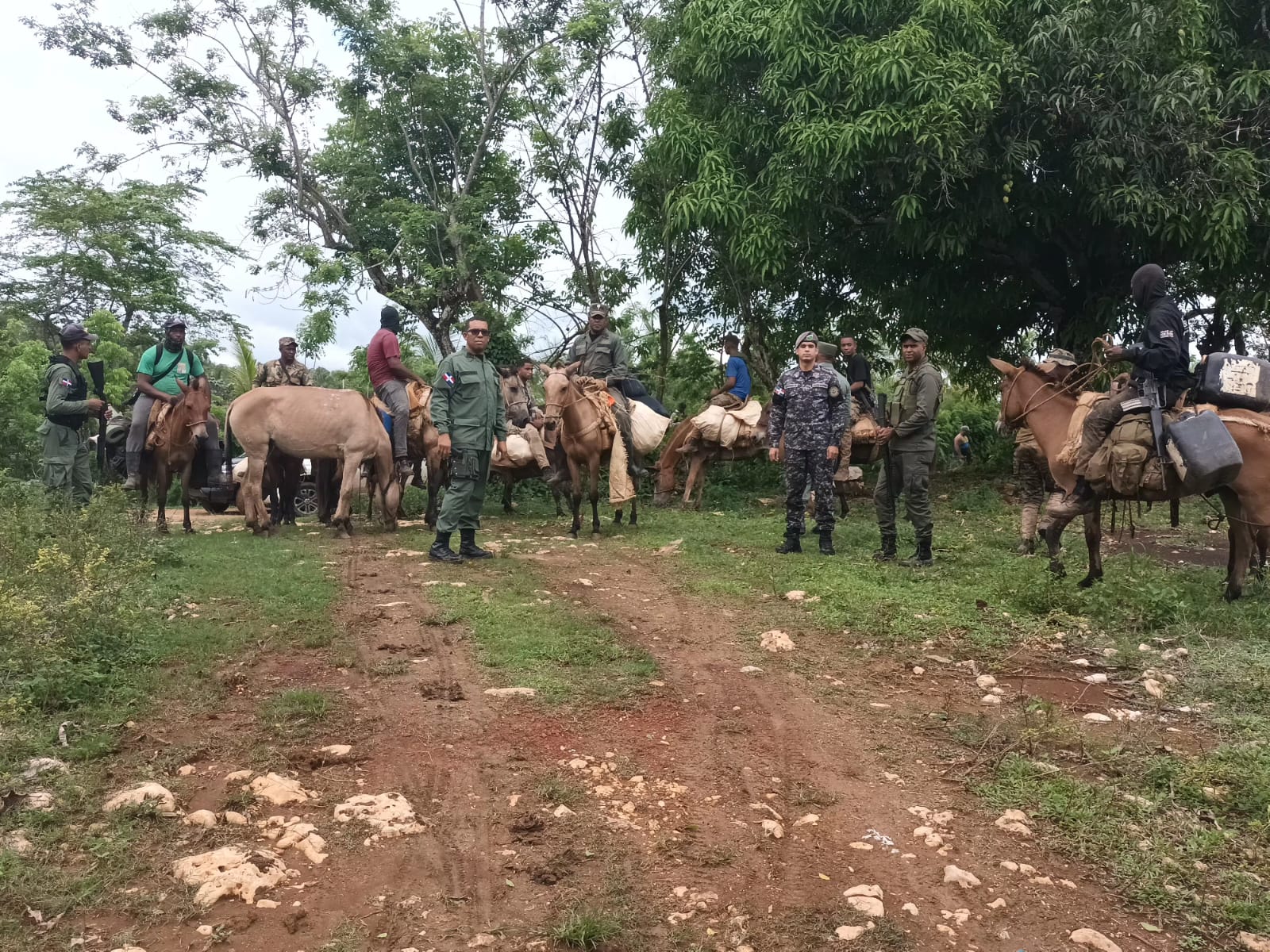Apresan a otras 16 personas en parque nacional, 5 son haitianos imagen