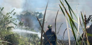 SOSUA: Creen fue provocado incendio en Cabarete y Goleta