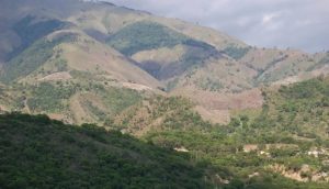 Llaman en Haití a restaurar tierras y luchar contra la desertificación