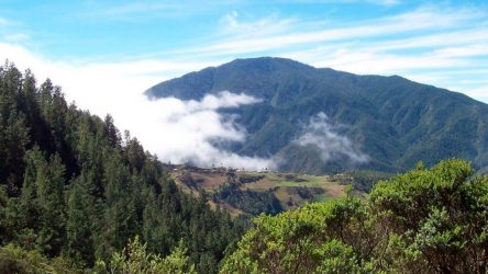 Medio Ambiente somete a dos acusados incendiar 1,000 tareas Medio Ambiente somete a dos acusados incendiar 1,000 tareas