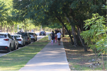 Alcaldía DN cancela 2 empleados por tala de árboles en Mirador Sur Alcaldía DN cancela 2 empleados por tala de árboles en Mirador Sur
