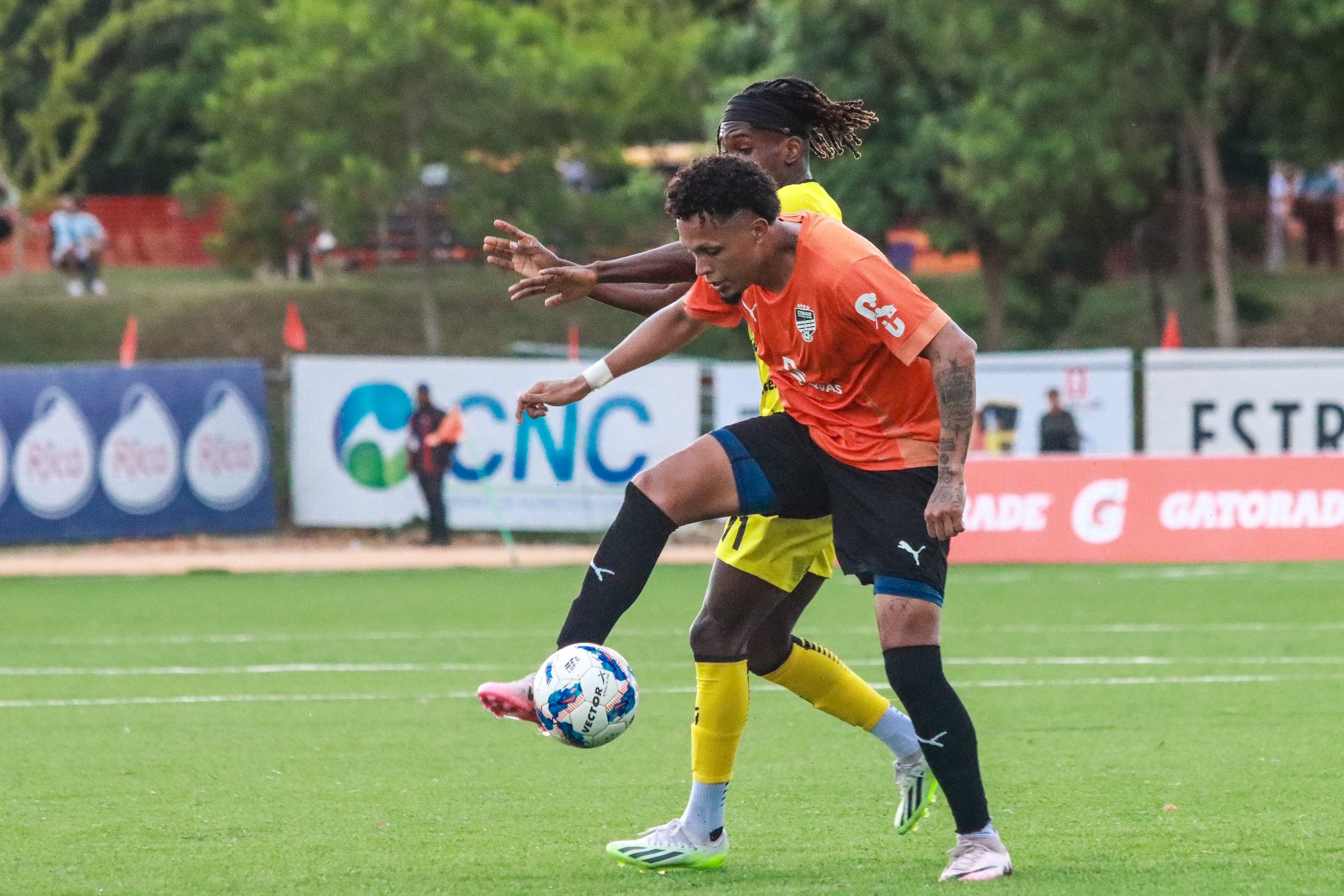 Cibao supera a Moca y se adelanta en La Liguilla de la LDF 2024 imagen