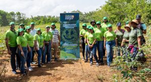 Dos Pinos realiza jornada de reforestación en Villa Altagracia