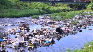 MOCA: Condenan empresario por la contaminación del río Jamao