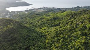 QUEJAS CIUDADANAS: Alerta por daño forestal en Puerto Plata