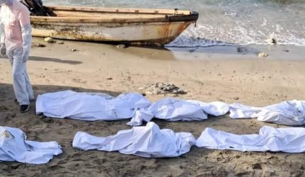 Avanzado en un 75% el proceso para identificar a 14 osamentas