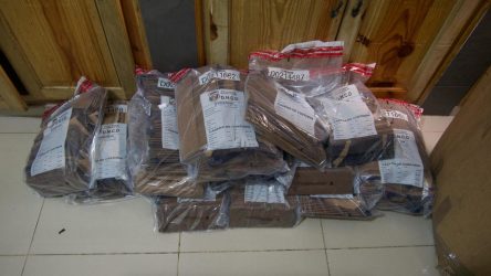 Incautan 663 laminas de cocaína camufladas en cajas de banano Incautan 663 laminas de cocaína camufladas en cajas de banano