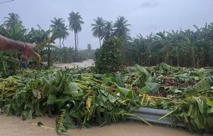 BAHORUCO: Lluvias desbordan ríos y ocasionan severos daños