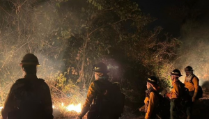 Bolivia consumida por incendios abre debate sobre polémicas leyes