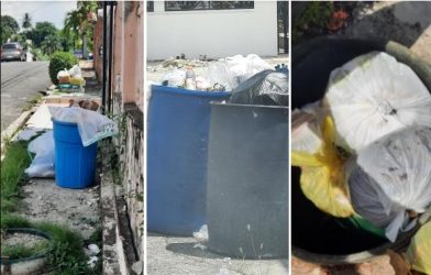 QUEJAS CIUDADANAS: Mal servicio recogida de basura