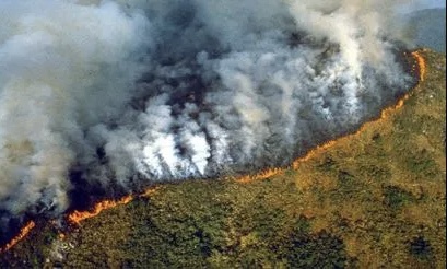 Perú declara estado emergencia en regiones afectadas por fuegos